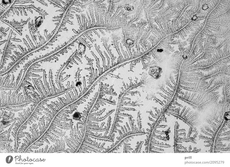 micro crystal pattern Wissenschaften Natur außergewöhnlich mikrokristall durchlicht künstlich Mineralien mikroskopisch vergrößert ausschnitt Kristallstrukturen