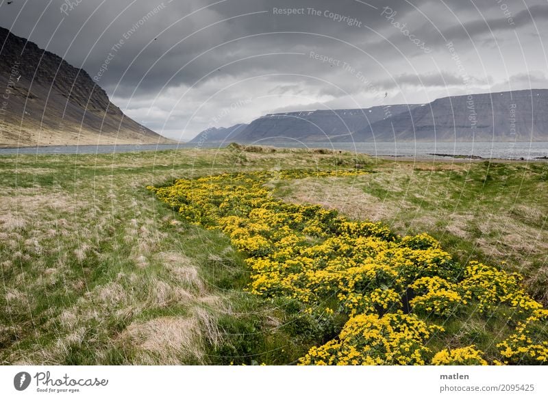 Sumpfdotterblumenweg 2 Natur Landschaft Pflanze Luft Wasser Himmel Wolken Horizont Frühling schlechtes Wetter Wind Gras Wildpflanze Wiese Felsen