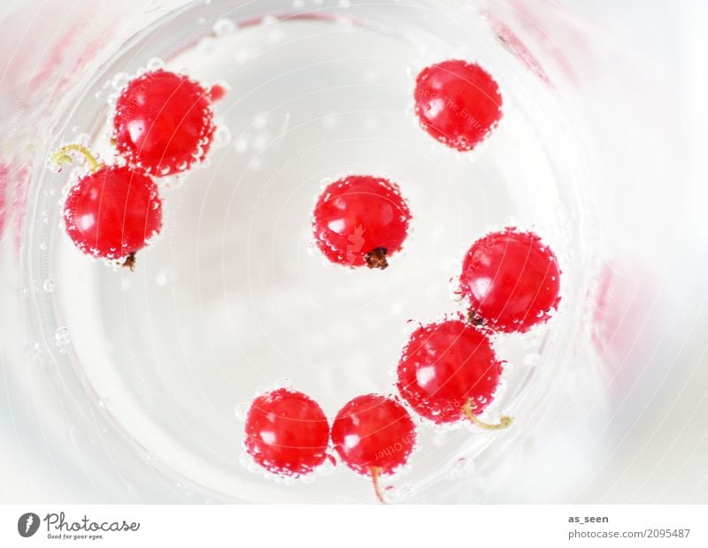 Erfrischungsgetränk Lebensmittel Frucht Johannisbeeren Ernährung Slowfood Getränk trinken Trinkwasser Limonade Saft Glas Lifestyle Reichtum Gesunde Ernährung