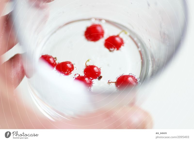 Sommerliche Erfrischung Lebensmittel Frucht Johannisbeeren Beeren Getränk trinken Erfrischungsgetränk Trinkwasser Limonade Sekt Prosecco Wellness Garten Party