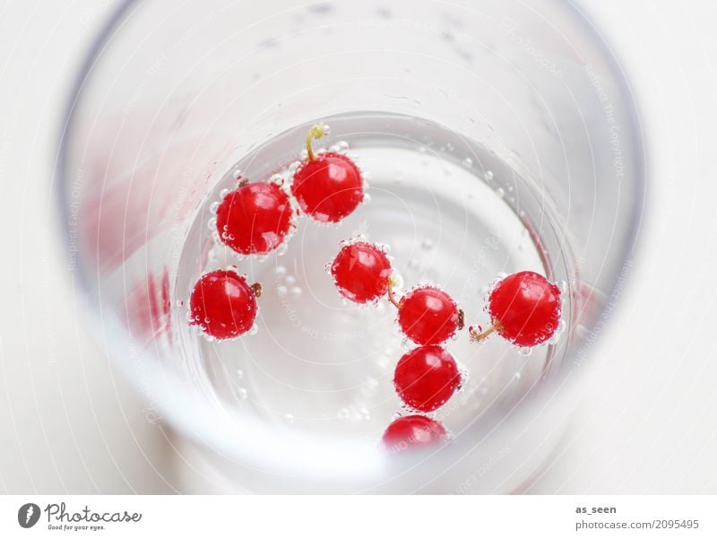 Sommerlicher Aperitif Lebensmittel Frucht Johannisbeeren Beeren Ernährung Picknick Bioprodukte Getränk trinken Glas Lifestyle Gesunde Ernährung Wellness