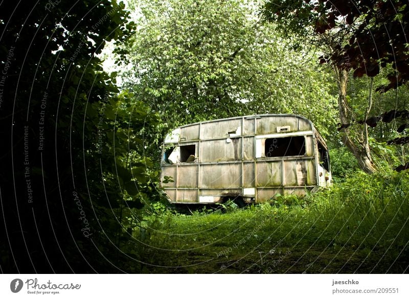 Urlaub vorbei Baum Gras Sträucher Moos Garten Wald Wohnwagen alt dunkel trist grün Endzeitstimmung Surrealismus Ferien & Urlaub & Reisen Vergänglichkeit Zeit