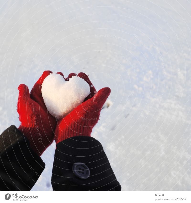 Kaltes Herz Junge Frau Jugendliche Hand 1 Mensch Winter Eis Frost Schnee kalt Kitsch Gefühle Stimmung Liebe Romantik Schmerz Hoffnung herzförmig Liebeserklärung