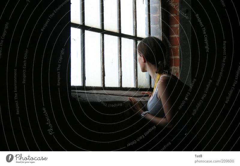 Was da drinnen wohl vor sich geht? feminin Junge Frau Jugendliche Erwachsene 18-30 Jahre Fabrik Bauwerk Gebäude Fenster Blick warten Mauer Licht Erwartung