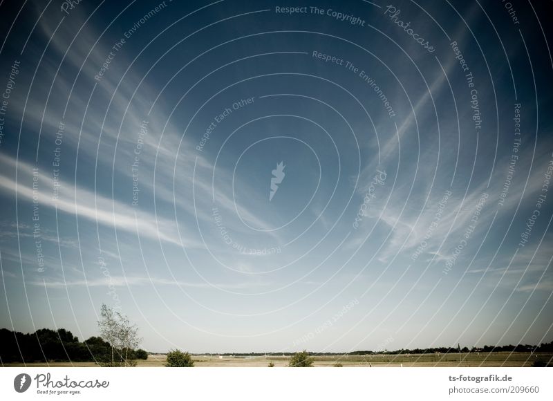 nordic Wolking III Umwelt Natur Landschaft Pflanze Urelemente Luft Himmel Wolken Horizont Wetter Schönes Wetter Wind Baum Feld Niedersachsen Schleierwolken