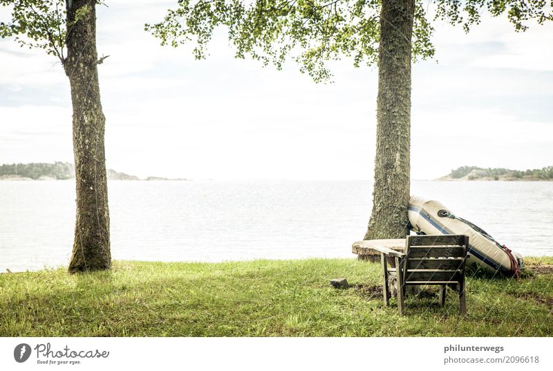 Ausblick aufs Meer Sport Umwelt Natur Landschaft Sommer Klima Baum Garten Park Wiese Küste Seeufer Strand Bucht Fjord Freundlichkeit Fröhlichkeit Glück