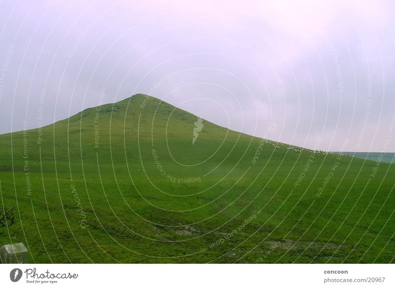 Monte Scherbelino England Großbritannien grün Hügel Gras Wiese Berge u. Gebirge Teesside Strukturen & Formen Rasen