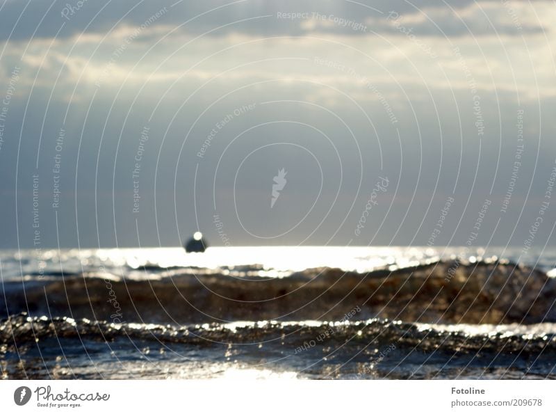 Urlaub Umwelt Natur Landschaft Urelemente Wasser Sommer Wellen Küste Ostsee Meer nass natürlich Farbfoto mehrfarbig Außenaufnahme Textfreiraum oben Tag Abend