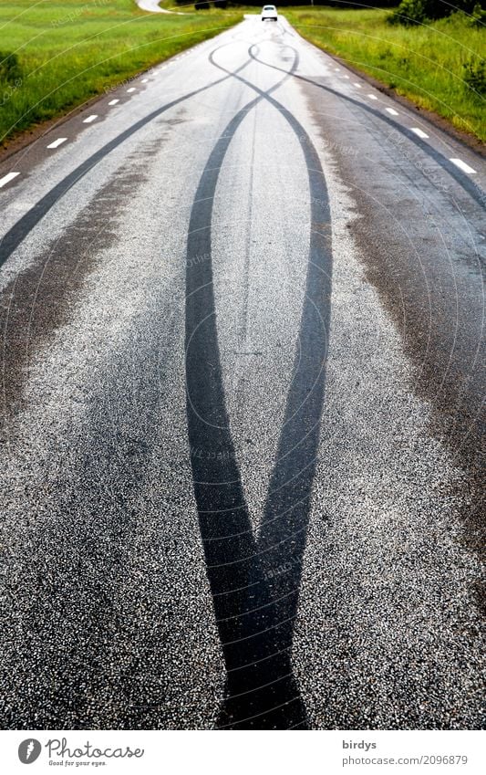 Streetart Wiese Straßenverkehr Autofahren Landstraße PKW Linie Reifenspuren Bewegung ästhetisch außergewöhnlich rebellisch sportlich gelb grau grün schwarz