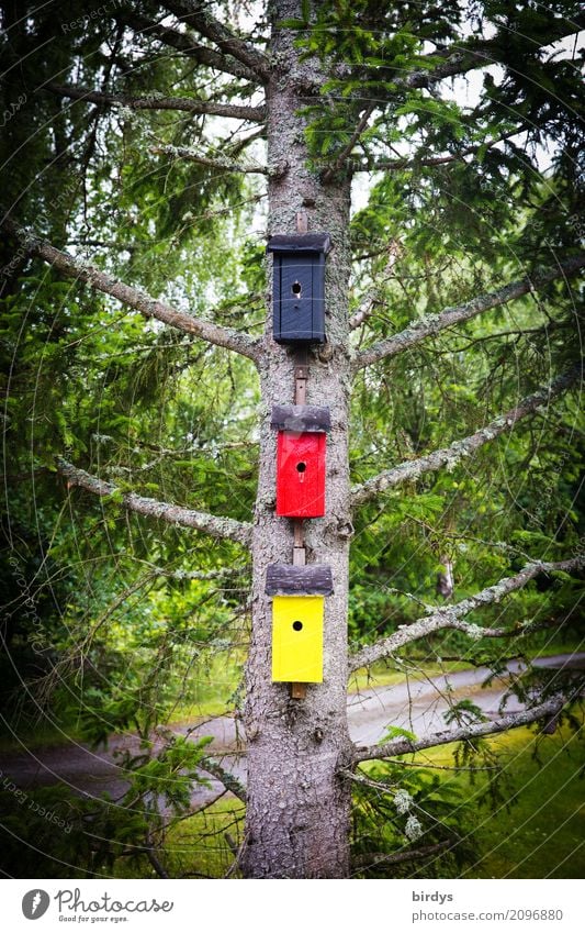 aus Ermangelung an Stoff Kunst Frühling Sommer Baum Fichte Deutschland Haus Nistkasten Futterhäuschen Holz Zeichen Häusliches Leben außergewöhnlich lustig