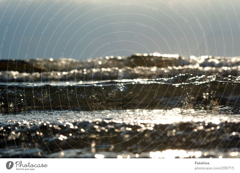 Die perfekte Welle Umwelt Natur Landschaft Urelemente Wasser Himmel Wolkenloser Himmel Horizont Sommer Schönes Wetter Wellen Küste Ostsee Meer hell nah nass