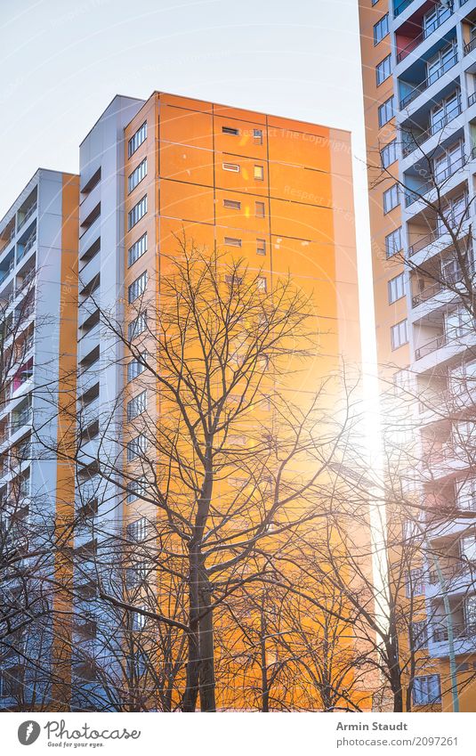 Plattenbau Lifestyle Stil Design Wohnung Haus Umwelt Sonnenaufgang Sonnenuntergang Frühling Winter Schönes Wetter Baum Stadt Hauptstadt Stadtrand Hochhaus