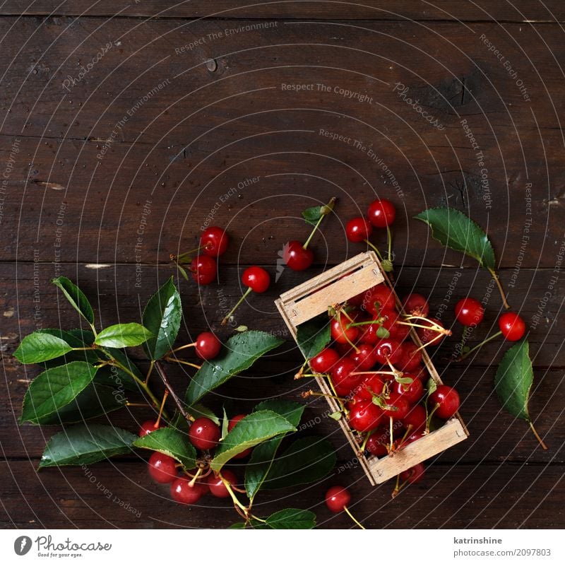 Frische Sauerkirschen in einem Kasten auf einem Holztisch Frucht Vegetarische Ernährung Diät Schalen & Schüsseln Sommer Tisch Blatt dunkel frisch lecker saftig