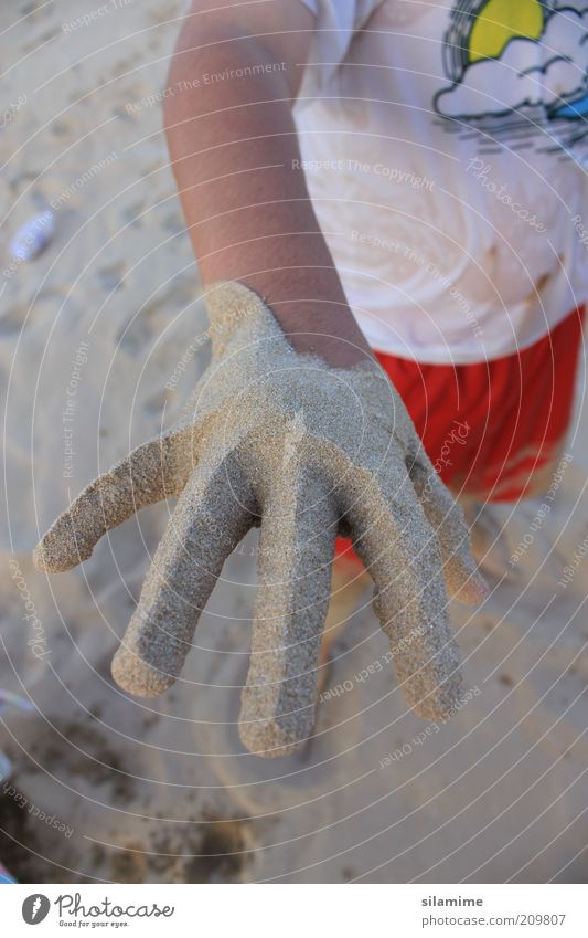 Sandhand Kind Hand 1 Mensch 3-8 Jahre Kindheit Ferien & Urlaub & Reisen Spielen dreckig lustig natürlich Freude Fröhlichkeit Leben Erholung Erfahrung Idee