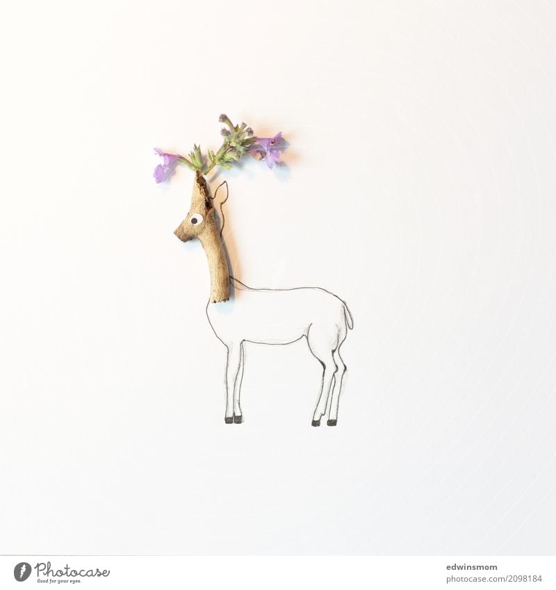 Flower deer Freizeit & Hobby Basteln malen Pflanze Sommer Blüte Tier Wildtier Papier Dekoration & Verzierung Holz Blick stehen warten Fröhlichkeit natürlich