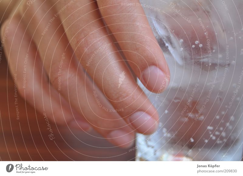 eine hand und ein glas Getränk Erfrischungsgetränk Trinkwasser Glas feminin Hand Finger genießen kalt Durst Farbfoto Innenaufnahme Nahaufnahme Detailaufnahme