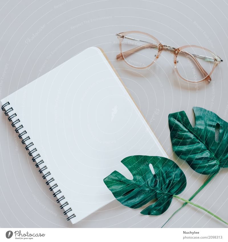 Flache Lage des minimalen Arbeitsplatzes Lifestyle Stil Design Business Kunst Natur Pflanze Frühling Blatt Mode Brille Papier einfach hell modern oben grau grün