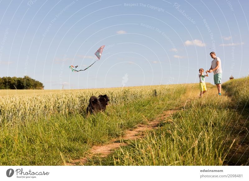 Zusammen Freizeit & Hobby Spielen Drachenfliegen Sommer maskulin Familie & Verwandtschaft Kindheit 2 Mensch Natur Schönes Wetter Feld blond kurzhaarig