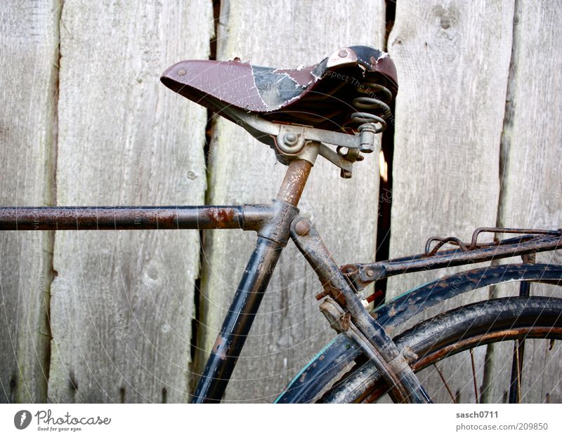 Esel mit Sattel Fahrrad Fahrradsattel Holz Leder alt dreckig kaputt braun Vergänglichkeit Nostalgie Verfall Vergangenheit Wandel & Veränderung Gepäckträger