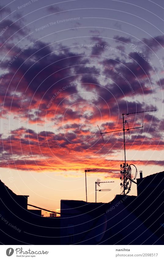 Bunte Skyline der Stadt Umwelt Natur Luft Himmel Wolken Sonnenaufgang Sonnenuntergang Sonnenlicht Klima Wetter Schönes Wetter bevölkert Haus Dach Antenne dunkel