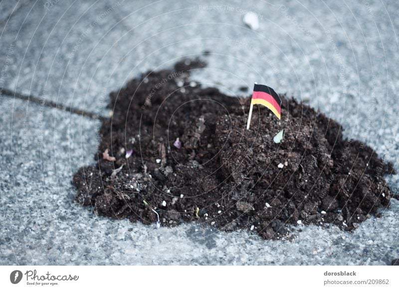 erdhäufchen gold rot schwarz Erde Fahne klein Deutschland Deutsche Flagge Farbfoto Nahaufnahme Tag Schwache Tiefenschärfe Zentralperspektive Patriotismus