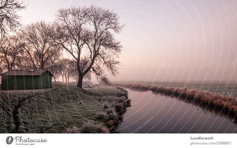 Winterstimmung II Angeln Kunst Umwelt Natur Landschaft Pflanze Urelemente Wasser Nebel Eis Frost Baum Feld Küste Flussufer Dorf bevölkert Hütte ästhetisch blau