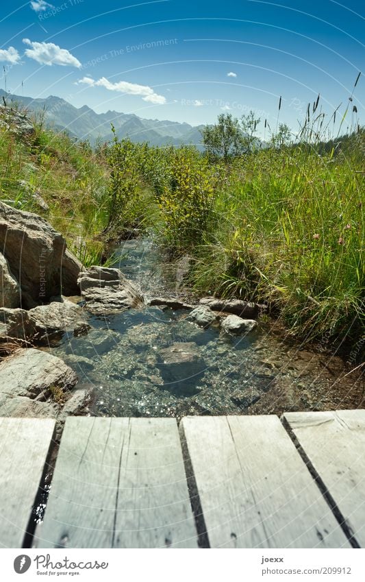 Nicht vom Beckenrand springen! Sommer Berge u. Gebirge Natur Landschaft Wasser Schönes Wetter Gras Wiese Alpen Bach frisch blau grün Freizeit & Hobby Umwelt