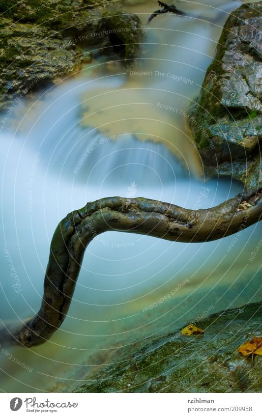 Bachlauf Natur Wasser Moos Schlucht Fluss Wasserfall Stein Allerheiligenberg Ast Cholersbach Hägendorf Schweiz Solothurn Teufelsschlucht Tüfelsschlucht Farbfoto