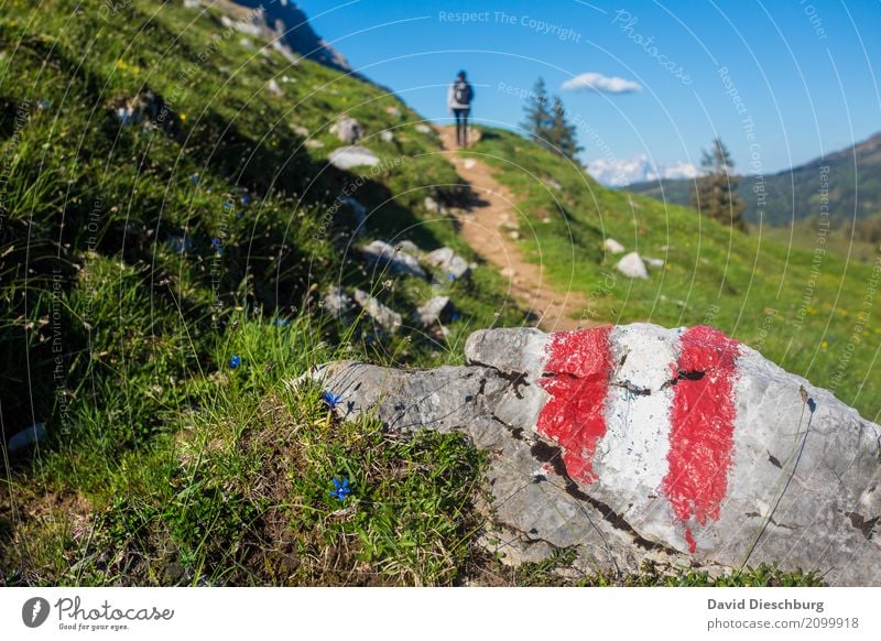 Wanderparadies Ferien & Urlaub & Reisen Tourismus Ausflug Abenteuer Expedition Sommerurlaub Berge u. Gebirge wandern 1 Mensch Natur Landschaft Himmel Wolken