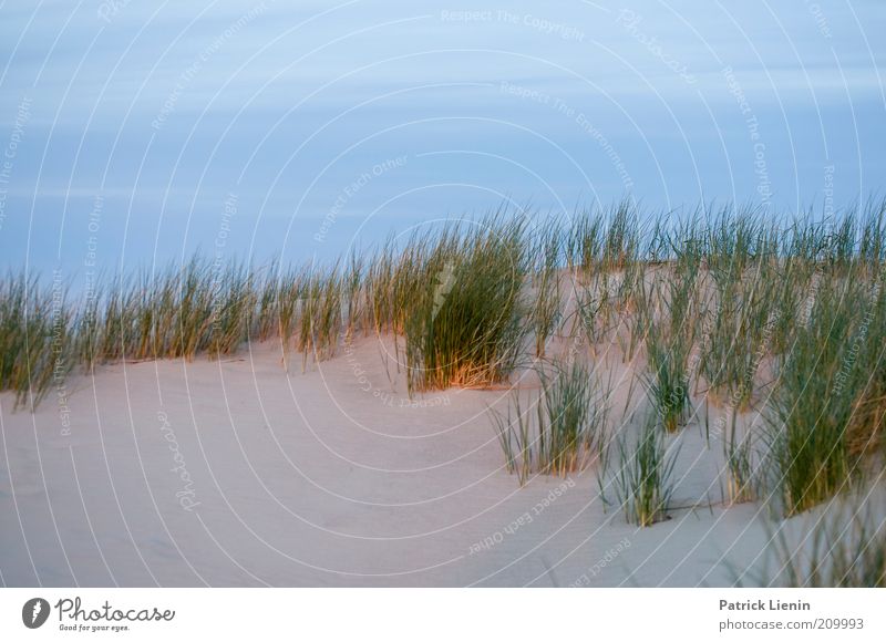 after sunset Umwelt Natur Landschaft Pflanze Urelemente Sand Himmel Wolken Sommer Klima Wetter Schönes Wetter Strand Nordsee Meer Insel Ferien & Urlaub & Reisen