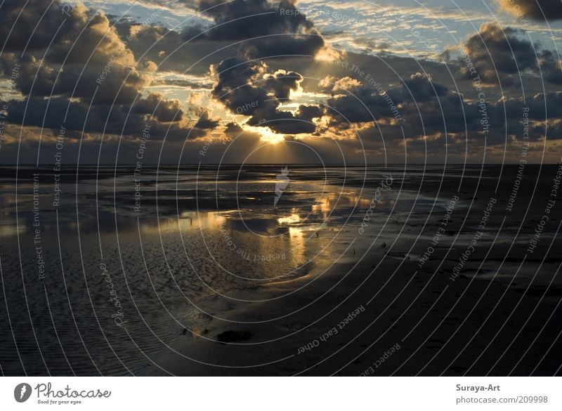 Zwischen Himmel und Meer Strand Insel Umwelt Natur Urelemente Erde Sand Wasser Wolken Sommer Schönes Wetter Küste Nordsee Erholung ästhetisch Ferne