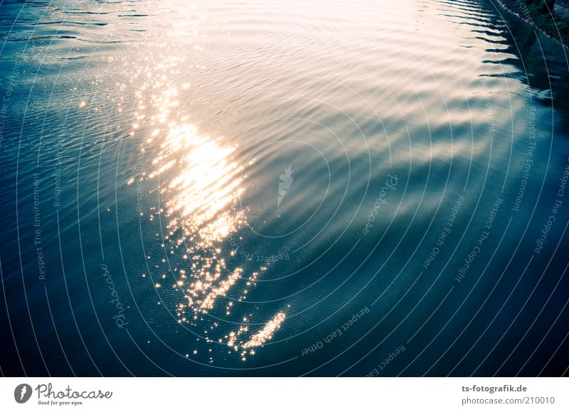 Amplituden Umwelt Natur Urelemente Wasser Sonnenaufgang Sonnenuntergang Wetter Schönes Wetter Wellen Küste Seeufer Flussufer Nordsee Ostsee Meer