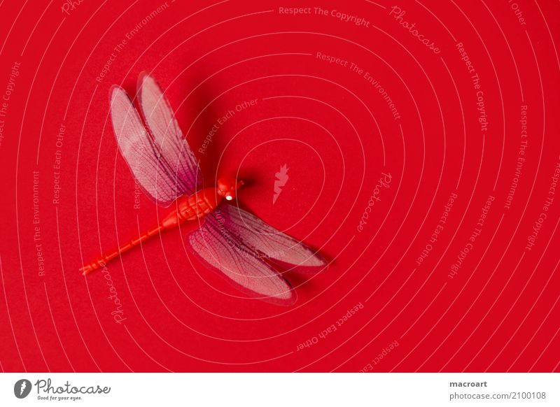 Libelle Insekt künstlich Dekoration & Verzierung rot gelb Sommer Frühling einzeln liegen Single Tier Flügel