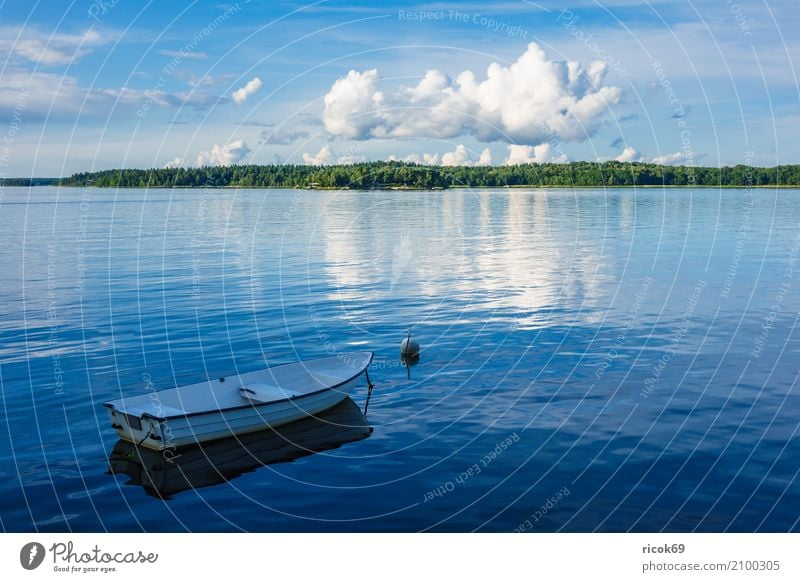 Schärengarten an der schwedischen Küste vor Stockholm Erholung Ferien & Urlaub & Reisen Tourismus Insel Natur Landschaft Wolken Baum Ostsee Wasserfahrzeug blau