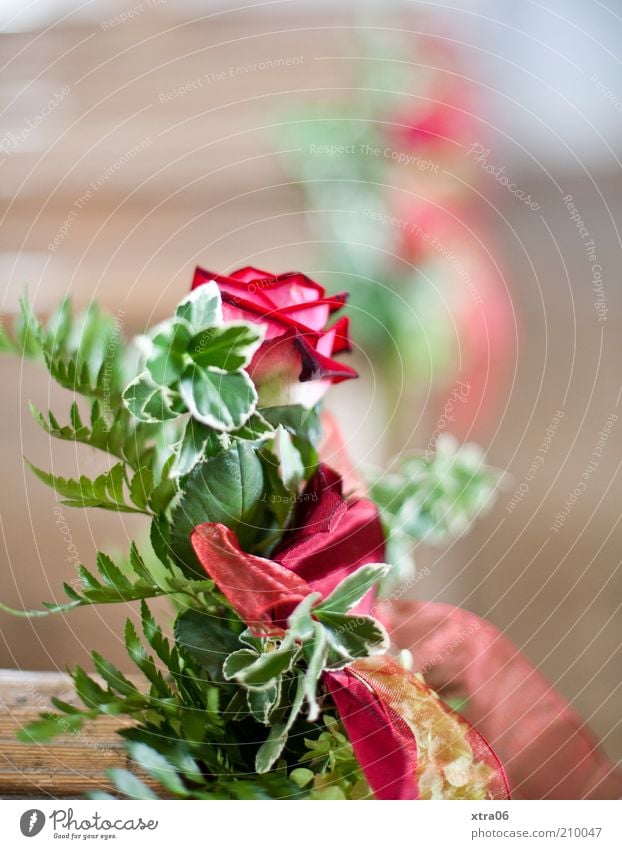 wann kommt die braut? Rose Gefühle Glück Vorfreude Treue Romantik schön hochzeitsschmuck blumenschmuck Farbfoto Innenaufnahme Nahaufnahme Textfreiraum oben