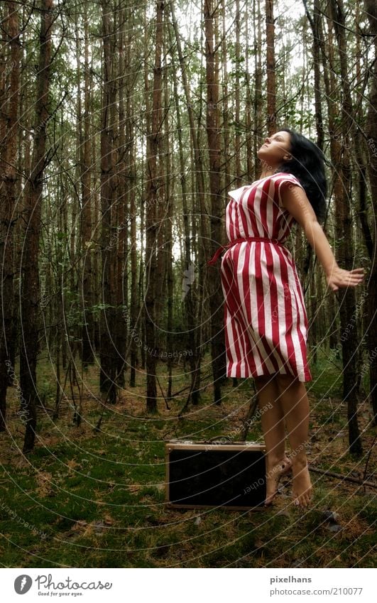 Loslassen feminin Junge Frau Jugendliche Erwachsene Leben 1 Mensch Natur Erde Himmel Sommer schlechtes Wetter Pflanze Baum Moos Wald Bekleidung Rock Stoff