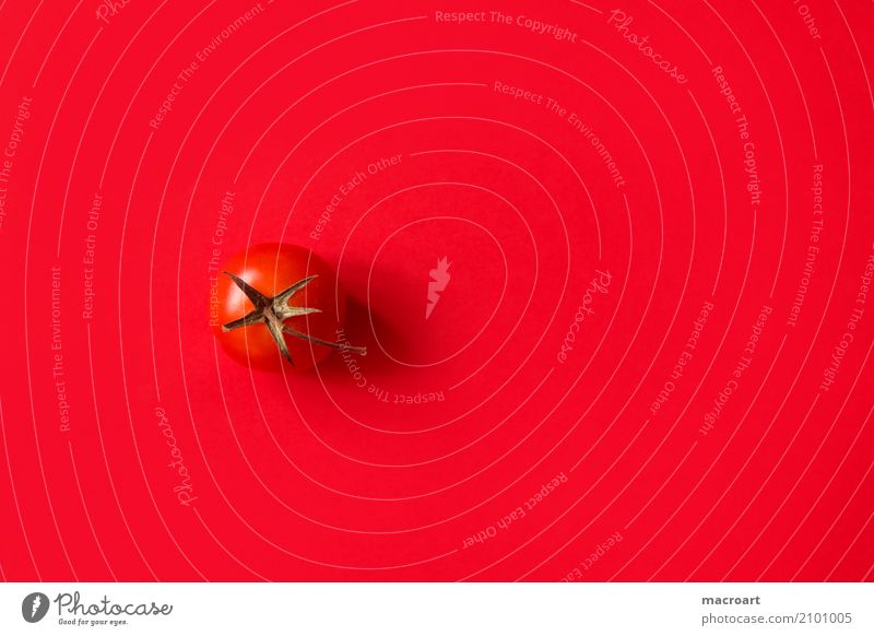 Rispentomaten Blüte Tomate rot Essen Foodfotografie Gemüse Lebensmittel Ernährung Gesunde Ernährung vitaminreich Vitamin Inland reif stiel Stengel Mineralien