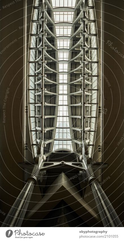 Skeleton Geometrien Städtereise Ausstellung Architektur Fenster Dach Wahrzeichen Denkmal Stein Beton Stahl Kristalle Einsamkeit Höhenangst taipei 101 Taipeh