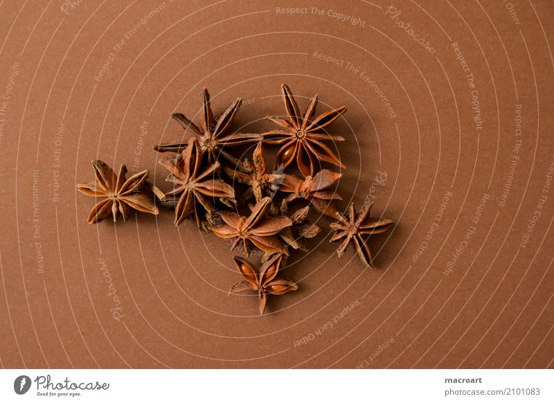 Sternanis auf braunem Untergrund Stern (Symbol) anise sterne Würzig Kräuter & Gewürze getrocknet Frucht Weihnachten & Advent weihnachten weihnachtsgewürz Speise