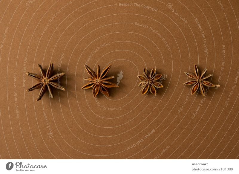 Sternanis auf braunem Untergrund Stern (Symbol) anise sterne Würzig Kräuter & Gewürze getrocknet Frucht Weihnachten & Advent weihnachten weihnachtsgewürz Speise