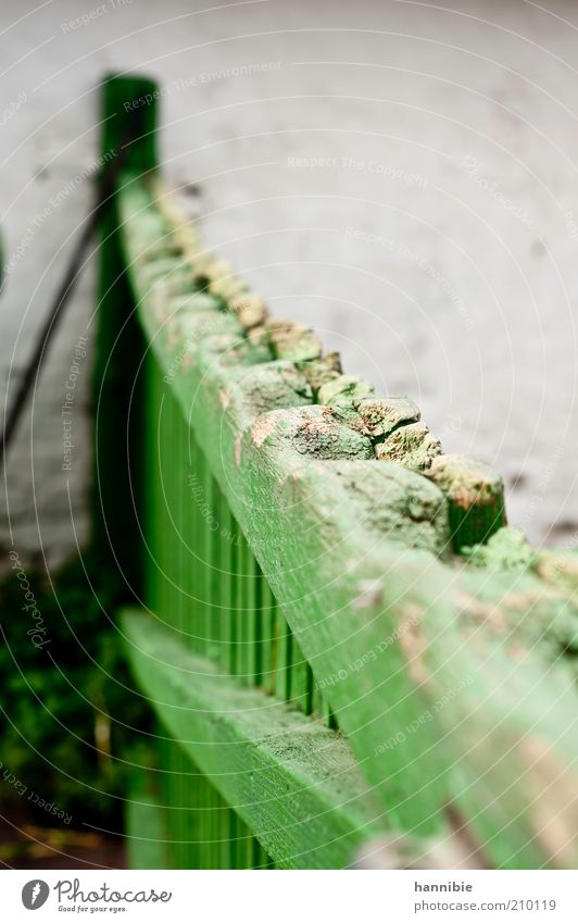 fancy fence Zaun Stein Holz grau grün Kontrolle Sicherheit Holzzaun Pferch Stall verwittert ländlich behüten schließen Farbfoto Außenaufnahme Menschenleer