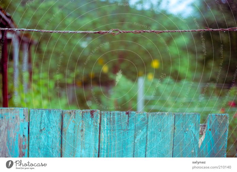 gartenzeit Schrebergarten Sommer Garten einfach retro trashig blau mehrfarbig grün Perspektive Farbfoto Außenaufnahme Nahaufnahme Menschenleer