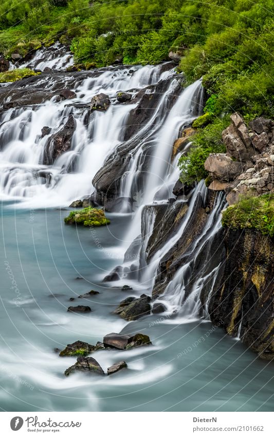 Im Fluss II Umwelt Landschaft Sommer Wetter Schönes Wetter Baum Gras Felsen Flussufer Bach Wasserfall braun grün türkis weiß Island Stein Sträucher