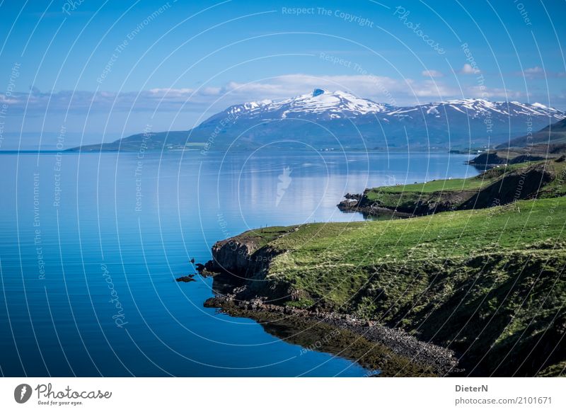 Fjord Umwelt Natur Landschaft Urelemente Luft Wasser Himmel Wolken Sommer Wetter Schönes Wetter Gras Felsen Berge u. Gebirge Gipfel Schneebedeckte Gipfel Vulkan