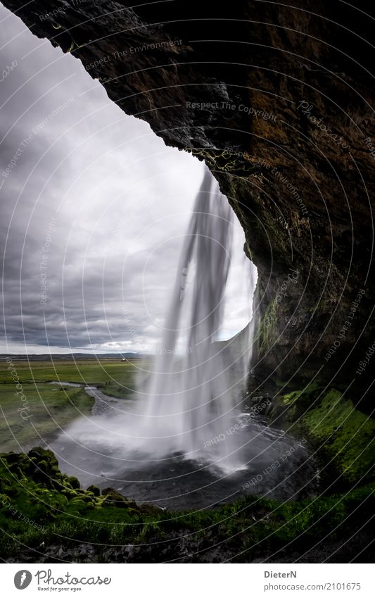 Seljalandsfoss Umwelt Natur Landschaft Wasser Wassertropfen Himmel Wolken Sommer schlechtes Wetter Gras Wiese Felsen Fluss Wasserfall seljalandsfoss grün