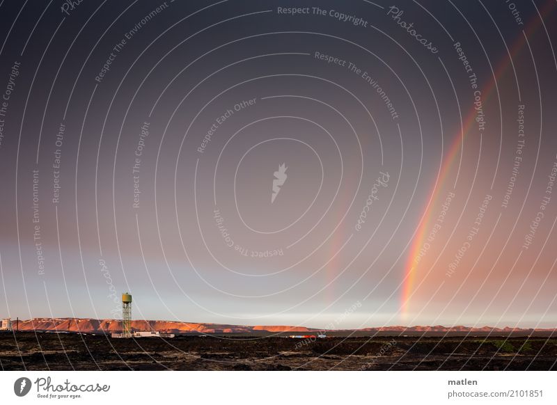 Doppel Landschaft Himmel Horizont Sonnenlicht Frühling Schönes Wetter Gras Wiese Felsen Menschenleer Haus natürlich blau braun grün rosa Regenbogen Island