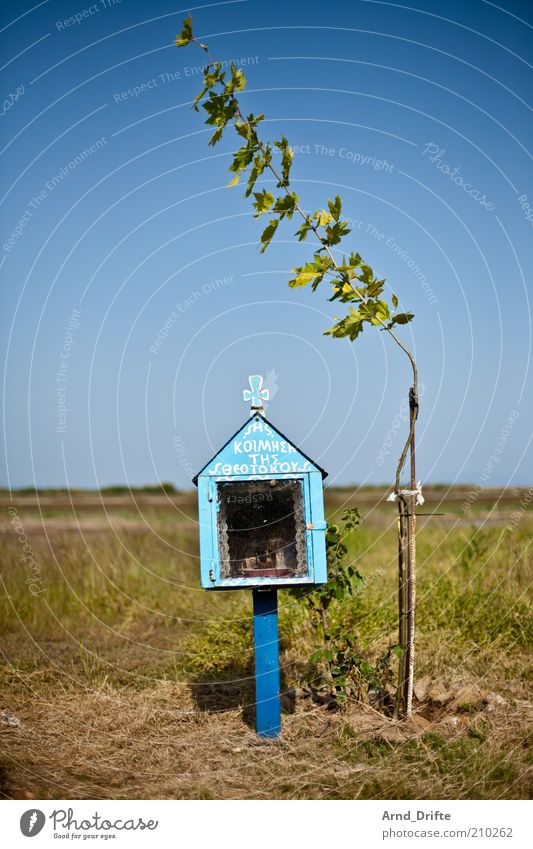 Schrein Glück Sommer Pflanze Baum Sträucher Wiese Wege & Pfade Holz Zeichen Denkmal Religion & Glaube Chalkidiki Griechenland Patron Gebet Christentum heilig