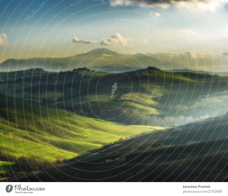 Schafe, die in der Sonne auf den Feldern weiden lassen. schön Ferien & Urlaub & Reisen Sommer Berge u. Gebirge Umwelt Natur Landschaft Tier Wolken Baum Gras