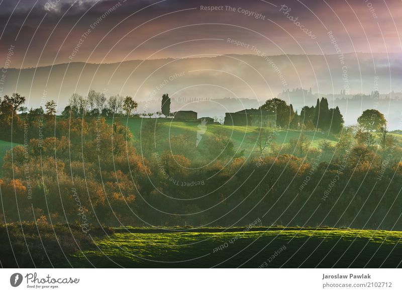 Felder und Gebäude im Nebel bei Sonnenuntergang. schön Ferien & Urlaub & Reisen Berge u. Gebirge Haus Umwelt Natur Landschaft Pflanze Wolken Herbst Baum Wiese