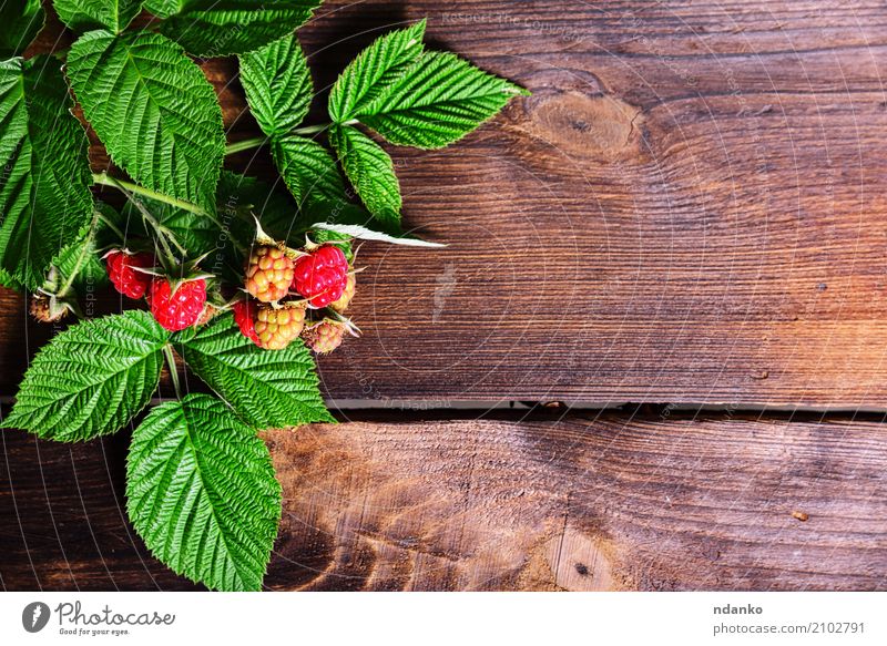 Zweig der Himbeere Frucht Dessert Vegetarische Ernährung Diät Sommer Garten Tisch Natur Holz frisch lecker natürlich braun gelb grün rot reif Beeren nützlich